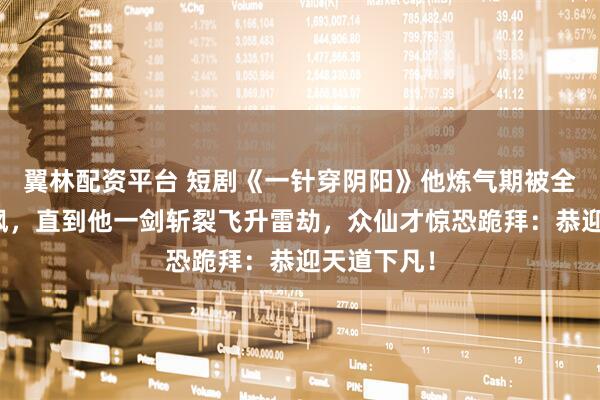 翼林配资平台 短剧《一针穿阴阳》他炼气期被全修仙界嘲讽,直到他一剑斩裂飞升雷劫,众仙才惊恐跪拜:恭迎天道下凡!