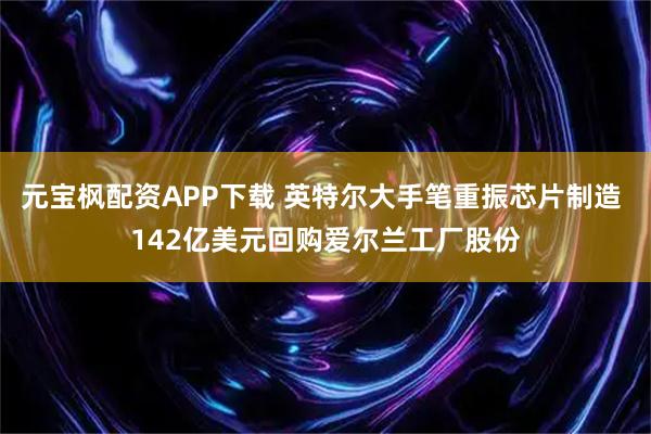 元宝枫配资APP下载 英特尔大手笔重振芯片制造 142亿美元回购爱尔兰工厂股份